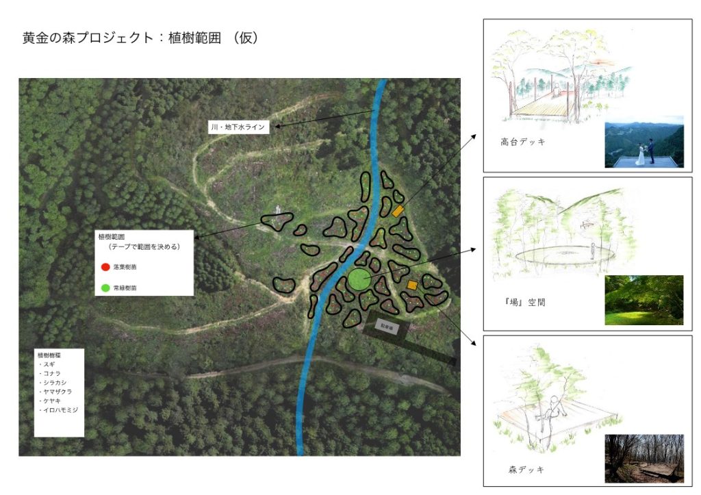 黄金の森プロジェクトイメージ