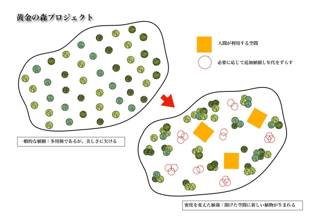 黄金の森プロジェクトイメージ